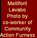 Mellifont
Lavabo
Photo by 
co-worker of
Community
Action Furness
